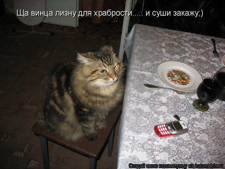 Ща винца лизну для храбрости..... и суши закажу;)... Котоматрица: Ща винца лизну для храбрости..... и суши закажу;)