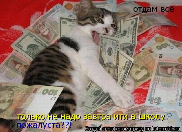 отдам всё только не надо завтра ити в школу пожалуста??!... Котоматрица: отдам всё только не надо завтра ити в школу пожалуста??!