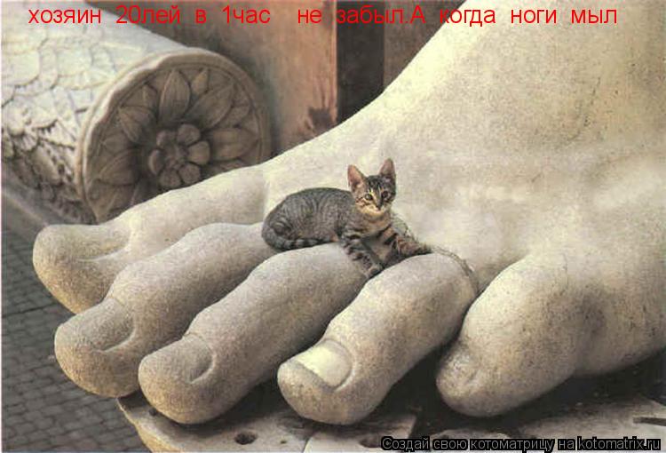 хозяин 20лей в 1час не забыл.А когда ноги мыл... Котоматрица: хозяин 20лей в 1час не забыл.А когда ноги мыл