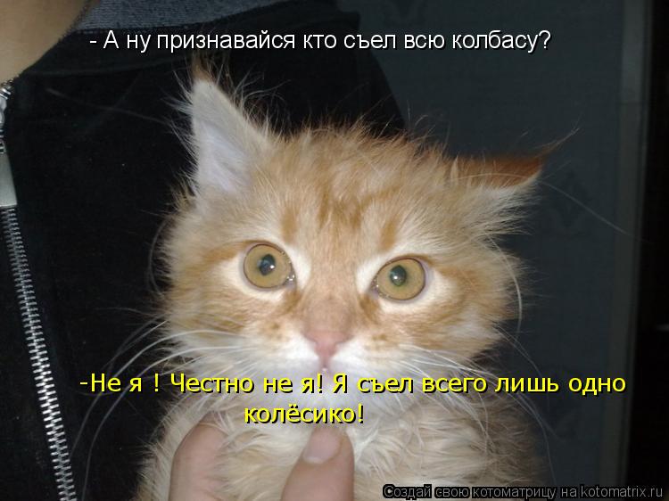 - А ну признавайся кто съел всю колбасу? -Не я ! Честно не я! Я съел всего лишь одно колёсико!... Котоматрица: - А ну признавайся кто съел всю колбасу? -Не я ! Честно не я! Я съел всего лишь одно колёсико!