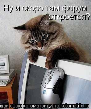 Ну и скоро там форум откроется?... Котоматрица: Ну и скоро там форум откроется?