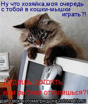 Ну что хозяйка,моя очередь с тобой в кошки-мышки играть?! Дудешь догоять, или рыбкой откупишься?!... Котоматрица: Ну что хозяйка,моя очередь с тобой в кошки-мышки играть?! Дудешь догоять, или рыбкой откупишься?!