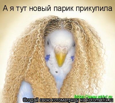 А я тут новый парик прикупила... Котоматрица: А я тут новый парик прикупила
