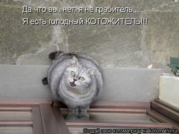 Да что вы, нет, я не грабитель... Я есть голодный КОТОЖИТЕЛЬ!!!... Котоматрица: Да что вы, нет, я не грабитель... Я есть голодный КОТОЖИТЕЛЬ!!!