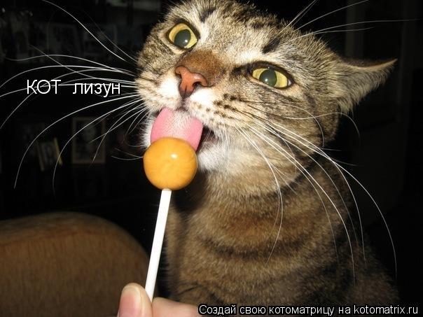КОТ лизун... Котоматрица: КОТ лизун