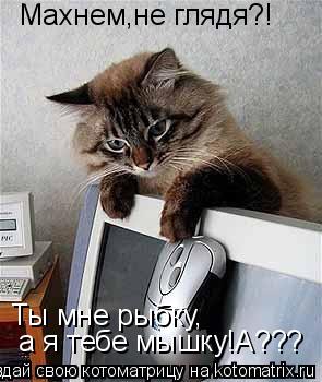 Махнем,не глядя?! Ты мне рыбку, а я тебе мышку!А???... Котоматрица: Махнем,не глядя?! Ты мне рыбку, а я тебе мышку!А???