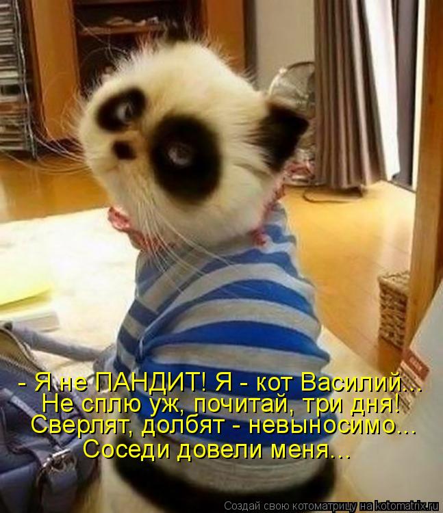 - Я не ПАНДИТ! Я - кот Василий... Не сплю уж, почитай, три дня! Сверлят, долбят - невыносимо... Сосед... Котоматрица: - Я не ПАНДИТ! Я - кот Василий... Не сплю уж, почитай, три дня! Сверлят, долбят - невыносимо... Соседи довели меня...