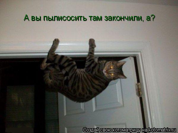 А вы пылисосить там закончили, а?... Котоматрица: А вы пылисосить там закончили, а?