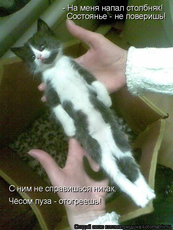 - На меня напал столбняк! Состоянье - не поверишь! С ним не справишься никак, Чёсом пуза - отогреешь!... Котоматрица: - На меня напал столбняк! Состоянье - не поверишь! С ним не справишься никак, Чёсом пуза - отогреешь!