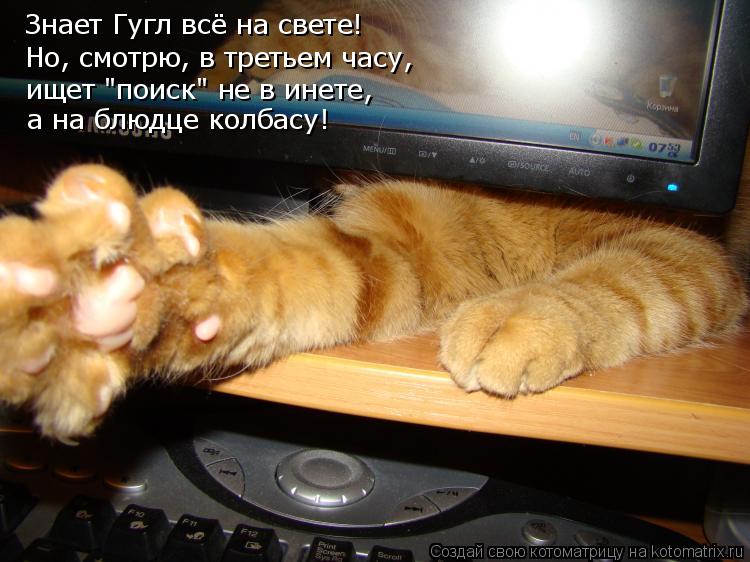 Знает Гугл всё на свете! Но, смотрю, в третьем часу, ищет "поиск" не в инете, а на блюдце колбасу!... Котоматрица: Знает Гугл всё на свете! Но, смотрю, в третьем часу, ищет "поиск" не в инете, а на блюдце колбасу!