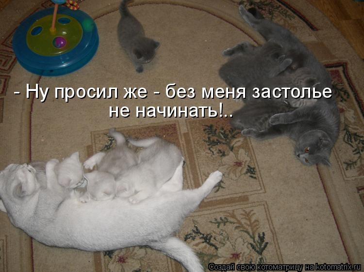 - Ну просил же - без меня застолье не начинать!..... Котоматрица: - Ну просил же - без меня застолье не начинать!..