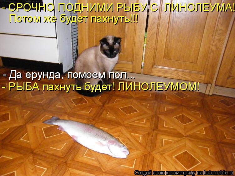 - СРОЧНО ПОДНИМИ РЫБУ С ЛИНОЛЕУМА! Потом же будет пахнуть!!! - Да ерунда, помоем пол... - РЫБА пахну... Котоматрица: - СРОЧНО ПОДНИМИ РЫБУ С ЛИНОЛЕУМА! Потом же будет пахнуть!!! - Да ерунда, помоем пол... - РЫБА пахнуть будет! ЛИНОЛЕУМОМ!