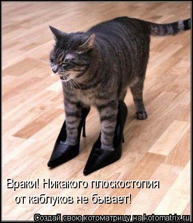 Враки! Никакого плоскостопия от каблуков не бывает!... Котоматрица: Враки! Никакого плоскостопия от каблуков не бывает!