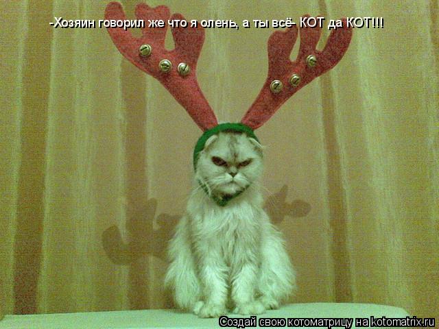 -Хозяин говорил же что я олень, а ты всё- КОТ да КОТ!!!... Котоматрица: -Хозяин говорил же что я олень, а ты всё- КОТ да КОТ!!!
