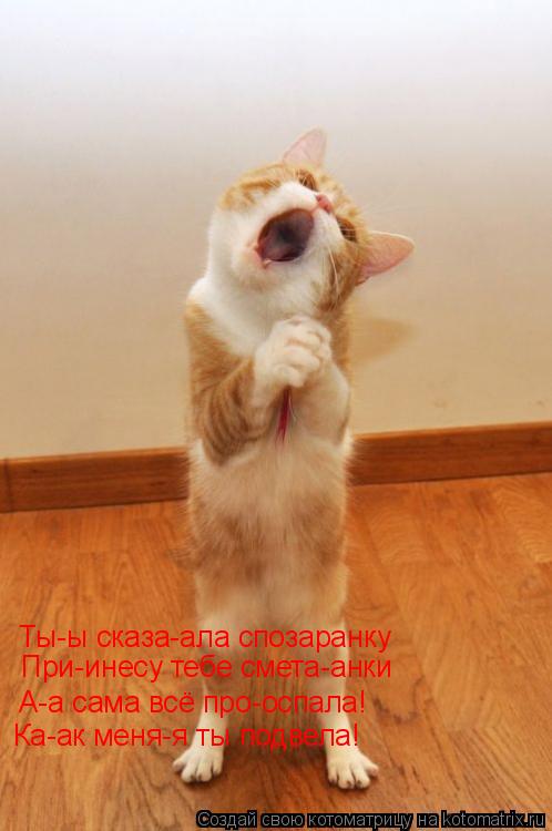 Ты-ы сказа-ала спозаранку При-инесу тебе смета-анки А-а сама всё про-оспала! Ка-ак меня-я ты подвела!... Котоматрица: Ты-ы сказа-ала спозаранку При-инесу тебе смета-анки А-а сама всё про-оспала! Ка-ак меня-я ты подвела!
