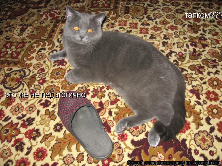 тапком??? это же не педагогично... Котоматрица: тапком??? это же не педагогично