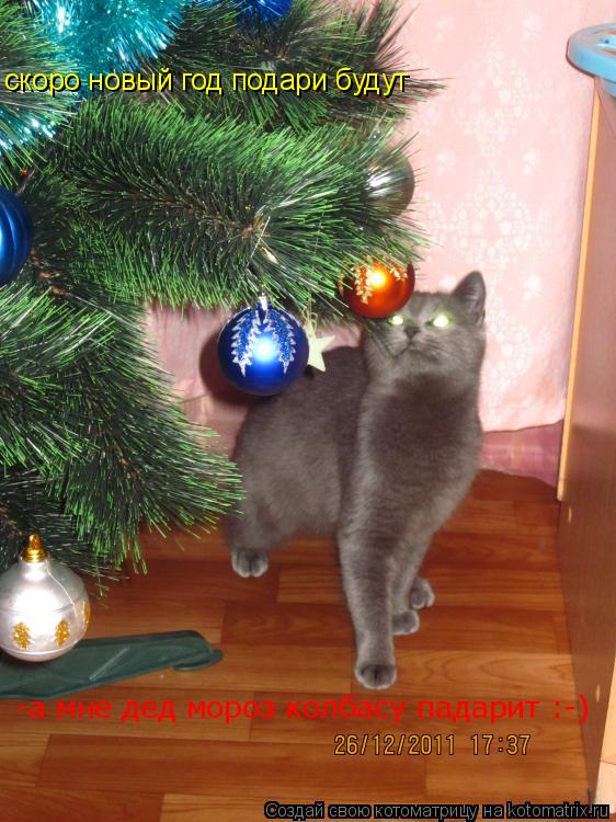 скоро новый год подари будут -а мне дед мороз колбасу падарит :-)... Котоматрица: скоро новый год подари будут -а мне дед мороз колбасу падарит :-)