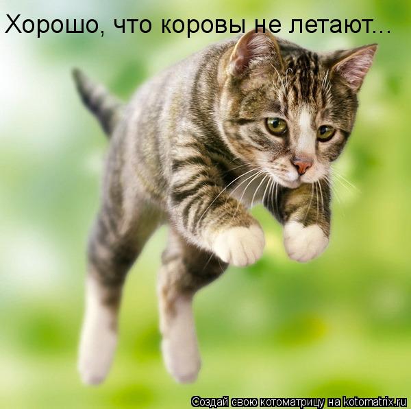 Хорошо, что коровы не летают...... Котоматрица: Хорошо, что коровы не летают...