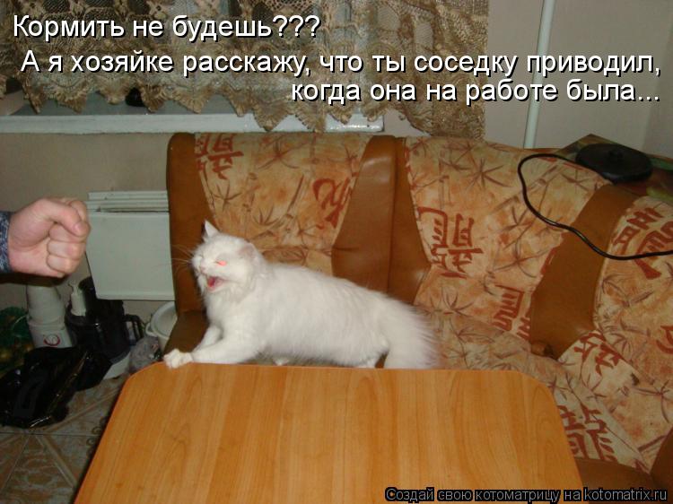 Кормить не будешь??? когда она на работе была... А я хозяйке расскажу, что ты соседку приводил,... Котоматрица: Кормить не будешь??? когда она на работе была... А я хозяйке расскажу, что ты соседку приводил,
