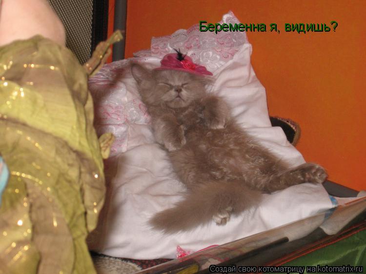 Беременна я, видишь?... Котоматрица: Беременна я, видишь?