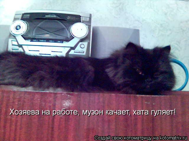 Хозяева на работе, музон качает, хата гуляет!... Котоматрица: Хозяева на работе, музон качает, хата гуляет!