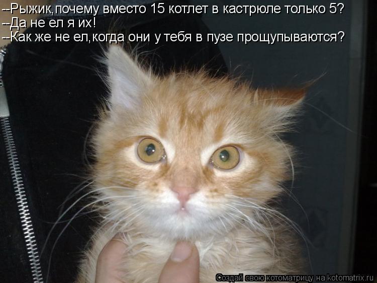 --Рыжик,почему вместо 15 котлет в кастрюле только 5? --Да не ел я их! --Как же не ел,когда они у тебя... Котоматрица: --Рыжик,почему вместо 15 котлет в кастрюле только 5? --Да не ел я их! --Как же не ел,когда они у тебя в пузе прощупываются?