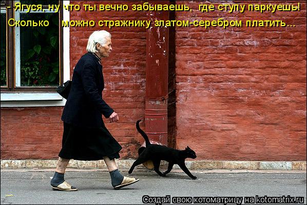 Котоматрица: Сколько    можно стражнику златом-серебром платить... где ступу паркуешь! - Ягуся, ну что ты вечно забываешь,
