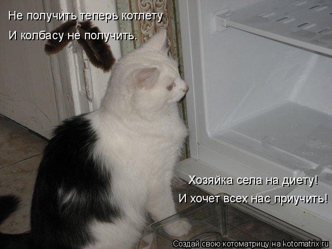Не получить теперь котлету И колбасу не получить. Хозяйка села на диету! И хочет всех нас приучить!... Котоматрица: Не получить теперь котлету И колбасу не получить. Хозяйка села на диету! И хочет всех нас приучить!