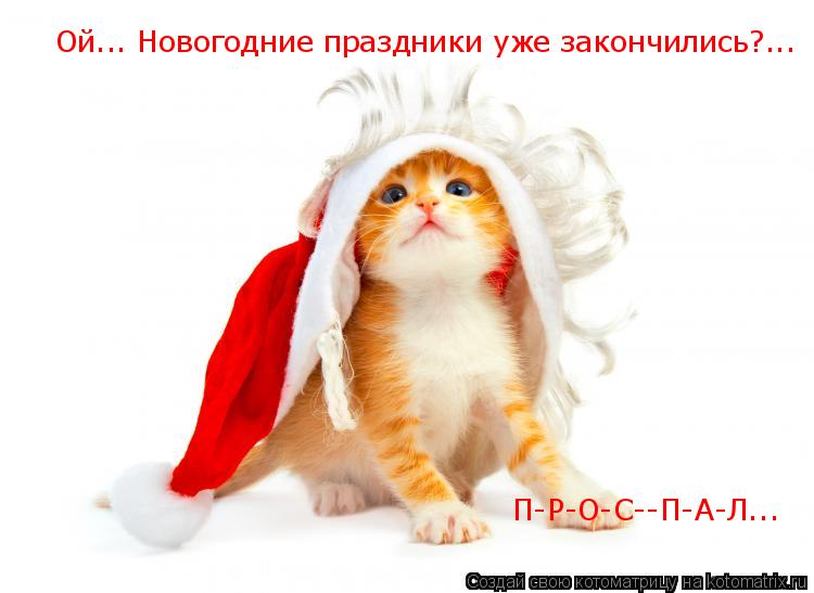 Ой... Новогодние праздники уже закончились?... П-Р-О-С--П-А-Л...... Котоматрица: Ой... Новогодние праздники уже закончились?... П-Р-О-С--П-А-Л...