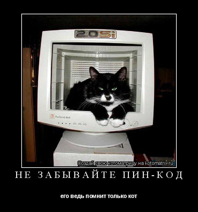 не забывайте пин-код его ведь помнит только кот... Котоматрица: не забывайте пин-код его ведь помнит только кот