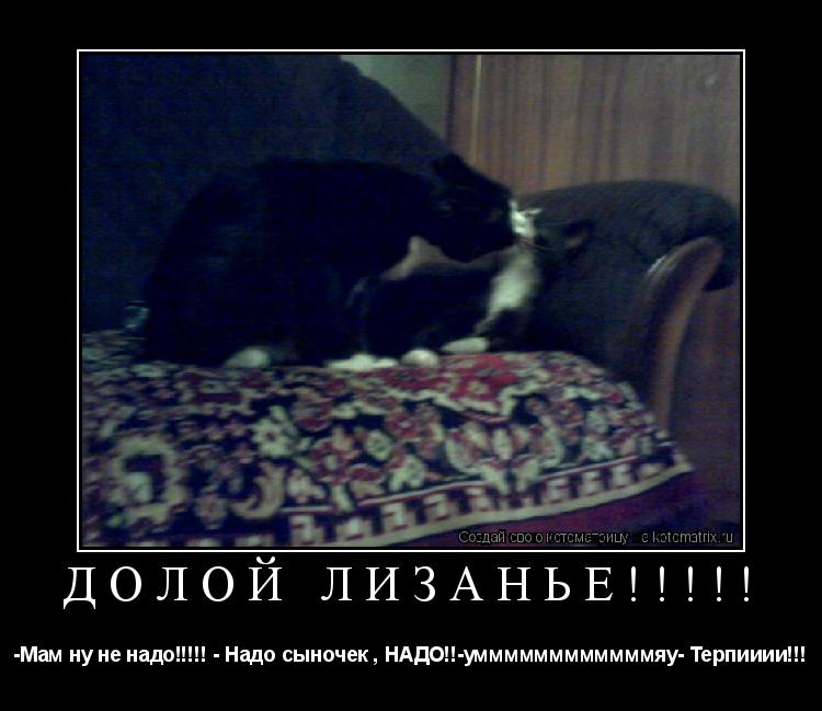 Долой лизанье!!!!! -Мам ну не надо!!!!! - Надо сыночек , НАДО!!-уммммммммммммяу- Терпииии!!!... Котоматрица: Долой лизанье!!!!! -Мам ну не надо!!!!! - Надо сыночек , НАДО!!-уммммммммммммяу- Терпииии!!!