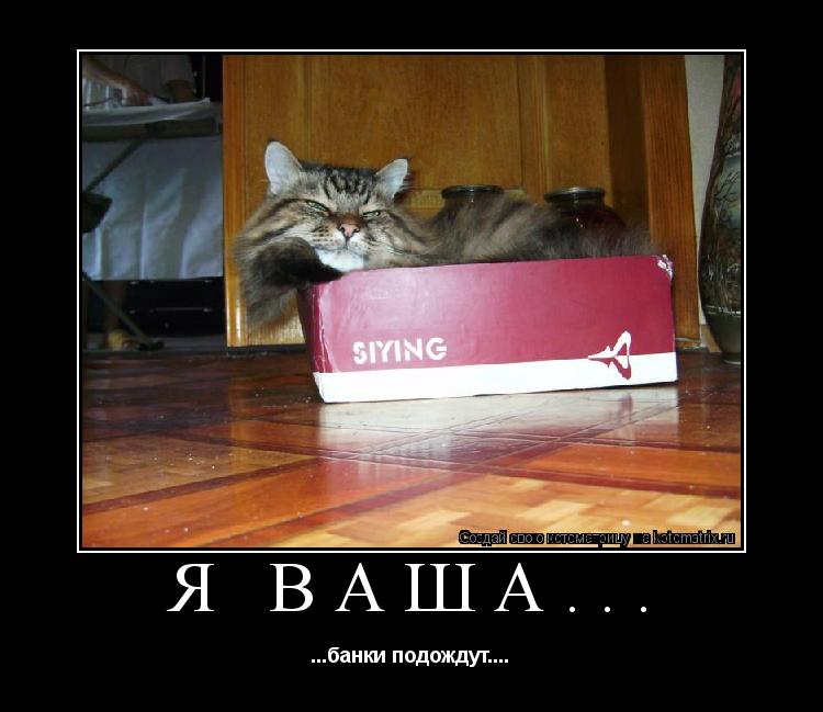 Я ваша... ...банки подождут....... Котоматрица: Я ваша... ...банки подождут....