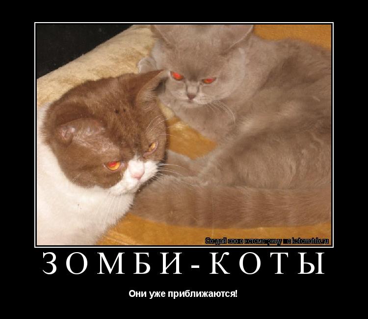 Зомби-коты Они уже приближаются!... Котоматрица: Зомби-коты Они уже приближаются!