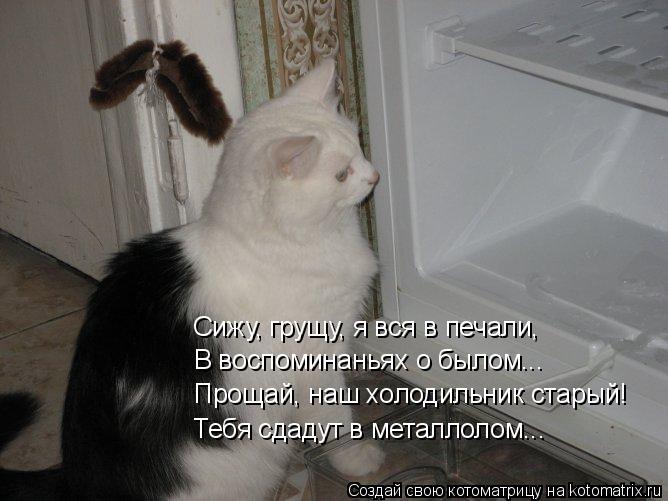 Котоматрица: Сижу, грущу, я вся в печали, В воспоминаньях о былом... Прощай, наш холодильник старый! Тебя сдадут в металлолом...