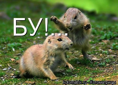 БУ!...... Котоматрица: БУ!...