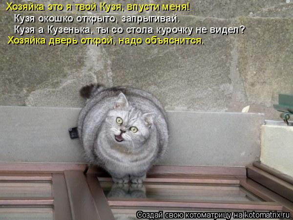 Хозяйка это я твой Кузя, впусти меня! Кузя окошко открыто, запрыгивай. Кузя а Кузенька, ты со стола к... Котоматрица: Хозяйка это я твой Кузя, впусти меня! Кузя окошко открыто, запрыгивай. Кузя а Кузенька, ты со стола курочку не видел? Хозяйка дверь открой, на
