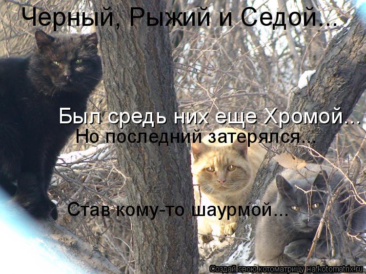 Черный, Рыжий и Седой... Был средь них еще Хромой... Но последний затерялся... Став кому-то шаурмой..... Котоматрица: Черный, Рыжий и Седой... Был средь них еще Хромой... Но последний затерялся... Став кому-то шаурмой...