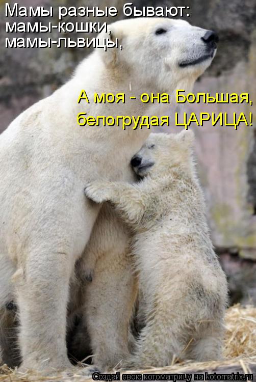 Мамы разные бывают: мамы-кошки, мамы-львицы, А моя - она Большая, белогрудая ЦАРИЦА!... Котоматрица: Мамы разные бывают: мамы-кошки, мамы-львицы, А моя - она Большая, белогрудая ЦАРИЦА!