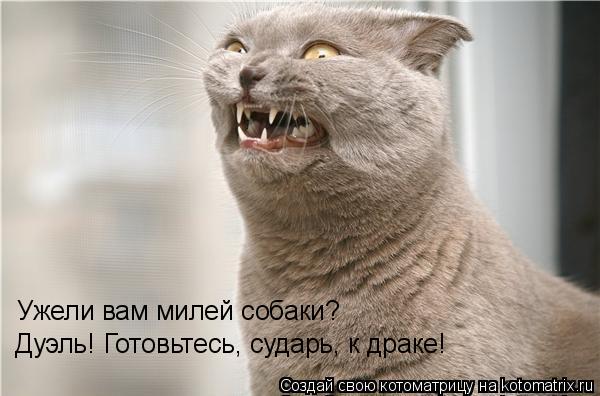 Ужели вам милей собаки? Дуэль! Готовьтесь, сударь, к драке!... Котоматрица: Ужели вам милей собаки? Дуэль! Готовьтесь, сударь, к драке!