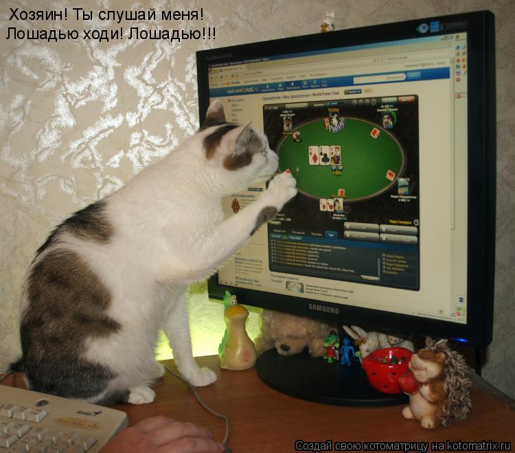 Котоматрица: Хозяин! Ты слушай меня! Лошадью ходи! Лошадью!!!