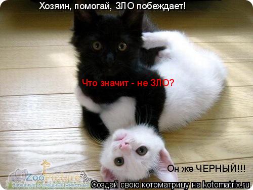 Котоматрица: Хозяин, помогай, ЗЛО побеждает! Что значит - не ЗЛО? Он же ЧЕРНЫЙ!!!