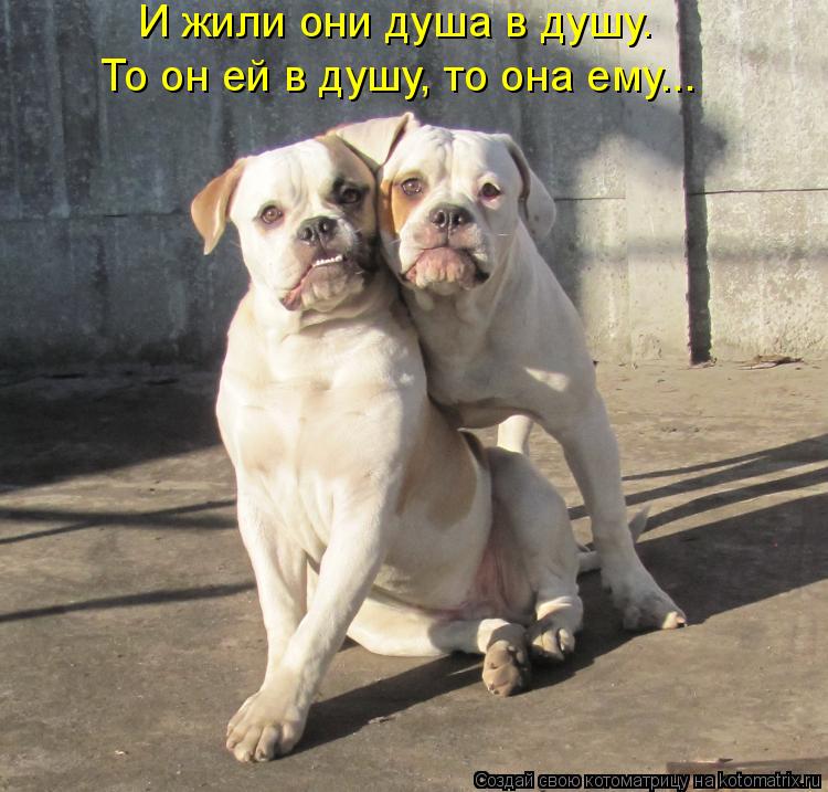 И жили они душа в душу. То он ей в душу, то она ему...... Котоматрица: И жили они душа в душу. То он ей в душу, то она ему...