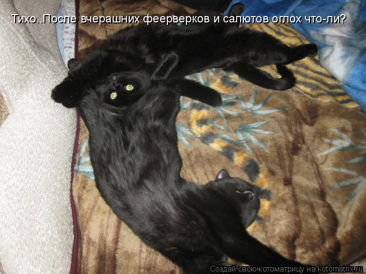 Тихо..После вчерашних феерверков и салютов оглох что-ли?... Котоматрица: Тихо..После вчерашних феерверков и салютов оглох что-ли?