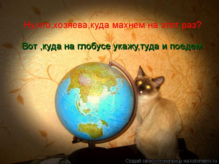 Ну,что,хозяева,куда махнем на этот раз? Вот ,куда на глобусе укажу,туда и поедем... Котоматрица: Ну,что,хозяева,куда махнем на этот раз? Вот ,куда на глобусе укажу,туда и поедем