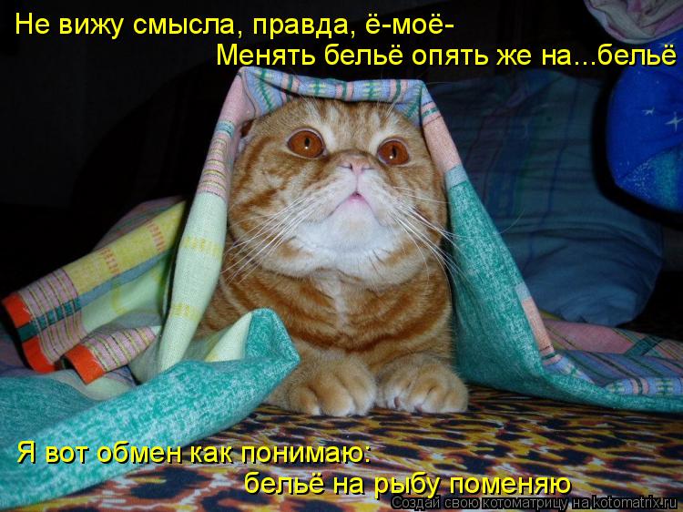 Не вижу смысла, правда, ё-моё- Менять бельё опять же на...бельё Я вот обмен как понимаю: бельё на ры... Котоматрица: Не вижу смысла, правда, ё-моё- Менять бельё опять же на...бельё Я вот обмен как понимаю: бельё на рыбу поменяю