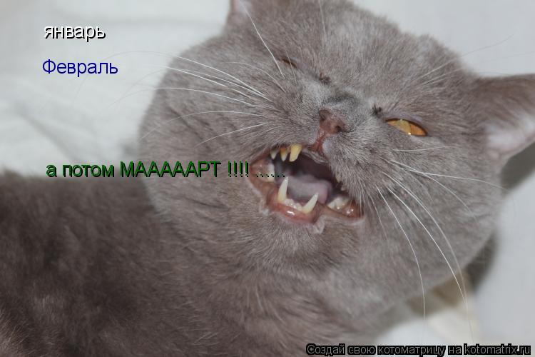 январь Февраль а потом МАААААРТ !!!! ......... Котоматрица: январь Февраль а потом МАААААРТ !!!! ......