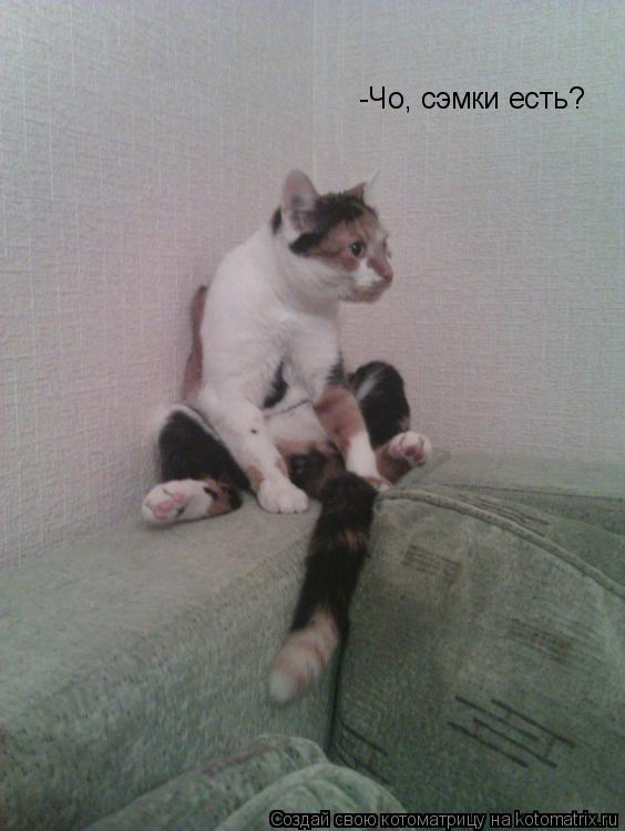 -Чо, сэмки есть?... Котоматрица: -Чо, сэмки есть?