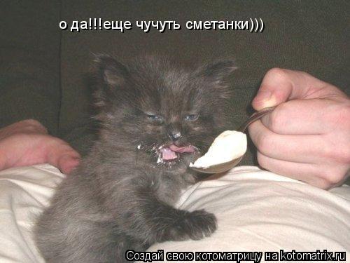 о да!!!еще чучуть сметанки)))... Котоматрица: о да!!!еще чучуть сметанки)))