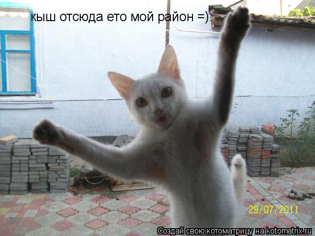 кыш отсюда ето мой район =)... Котоматрица: кыш отсюда ето мой район =)