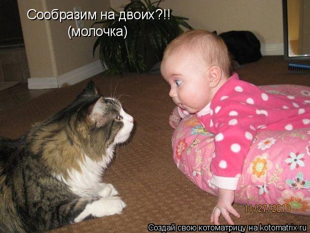 Сообразим на двоих?!! (молочка)... Котоматрица: Сообразим на двоих?!! (молочка)